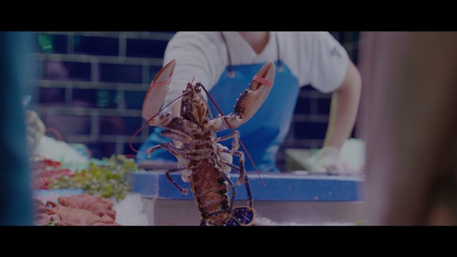 Video Reference: blue, arm, human body, human, hand, fun, screenshot, finger, girl