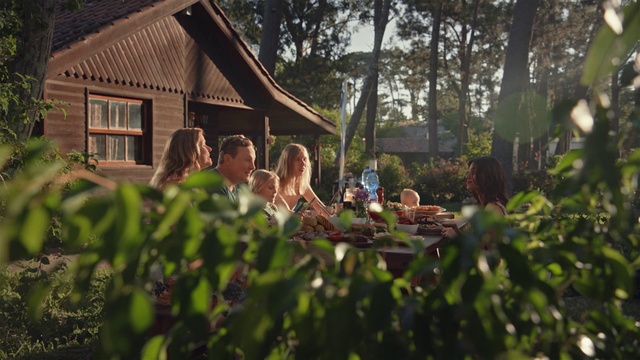 Video Reference: Photograph, House, Tree, Grass, Photography, Forest, Ceremony, Landscape, Leisure, Home