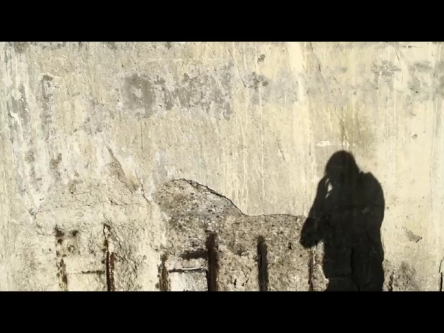 Video Reference: photograph, wall, photography, tree, geological phenomenon, sky, shadow, black and white, geology, screenshot
