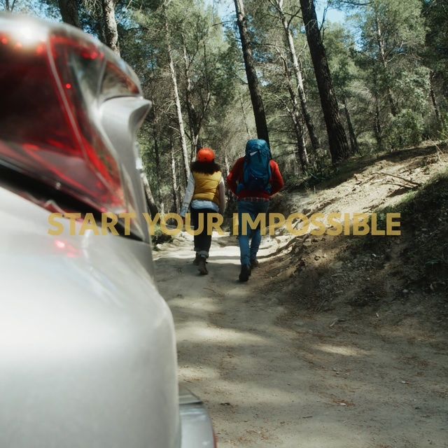 Video Reference: Tree, Vehicle, Road, Recreation, Forest, Personal protective equipment