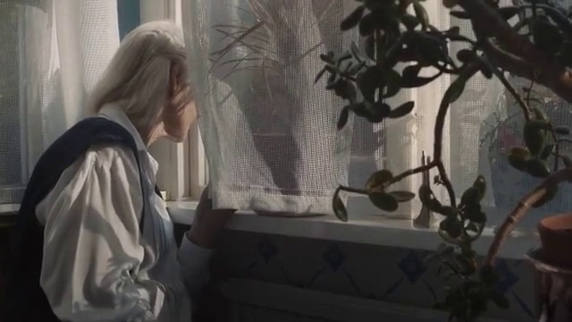 Video Reference: Tree, Room, Plant, Photography, Long hair, Interior design