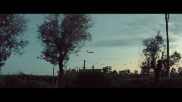 Video Reference: Sky, Nature, Cloud, Tree, Morning, Atmospheric phenomenon, Atmosphere, Natural landscape, Branch, Overhead power line