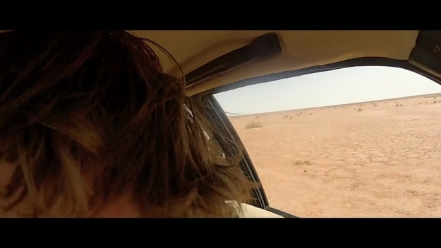 Video Reference: Hair, Sand, Brown, Landscape, Long hair, Sunlight, Aeolian landform, Photography, Horizon, Neck