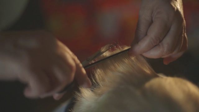 Video Reference: Hand, Human, Finger, Nail