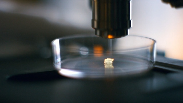 Video Reference: water, glass, liquid, macro photography