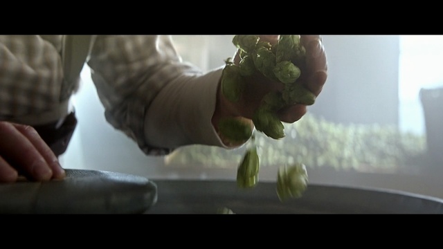 Video Reference: Green, Arm, Hand, Leaf, Finger, Organism, Plant, Flower, Photography, Floral design