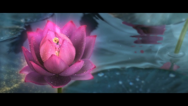 Video Reference: flower, pink, flora, aquatic plant, sacred lotus, lotus, plant, petal, close up, purple, Person