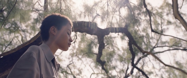 Video Reference: Branch, Tree, Woody plant, Photography, Sky, Sunlight, Forest, Plant, Black hair, Portrait