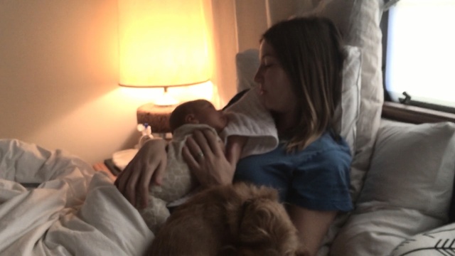 Video Reference: mammal, vertebrate, girl, product, Person
