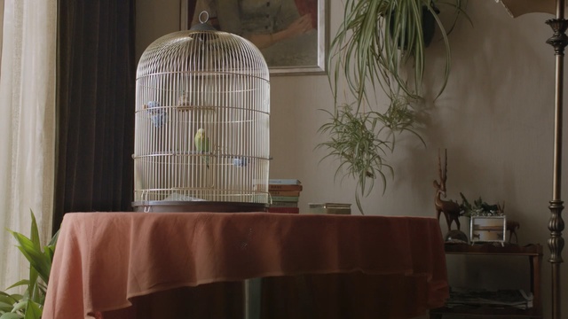 Video Reference: furniture, interior design, product, home, table, window, light fixture