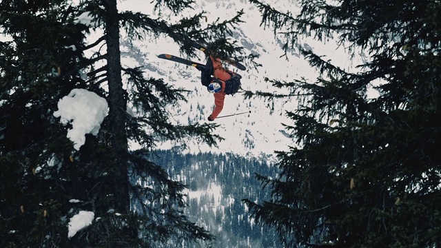 Video Reference: Tree, Water, Extreme sport, Adventure, Woody plant, Recreation, Plant, Forest