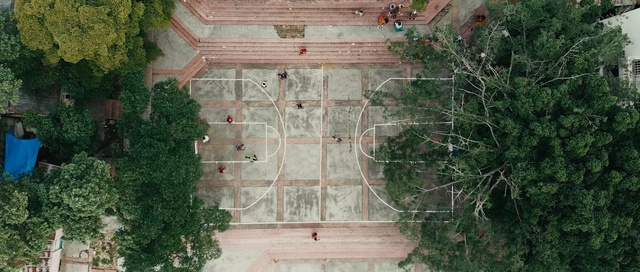 Video Reference: Property, Land lot, Wall, Tree, Grass, Architecture, Landscape, Building, House, Plant