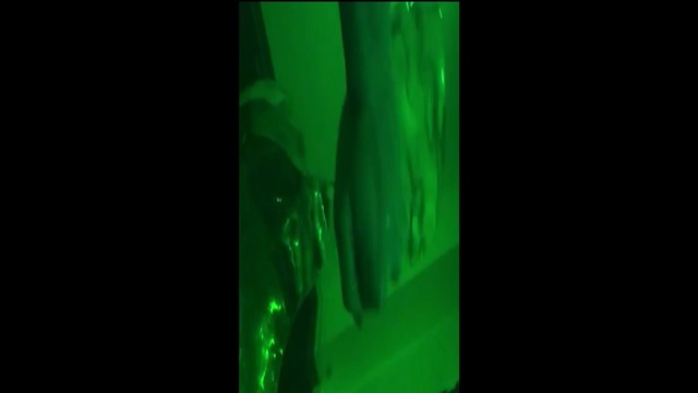 Video Reference: green, black, light, laser, atmosphere, darkness, organism, technology, computer wallpaper, plant stem