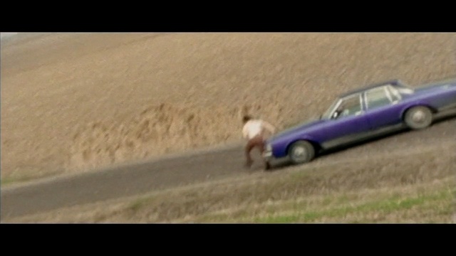 Video Reference: car, ecosystem, vehicle, mode of transport, family car, automotive design, driving, motor vehicle, landscape, screenshot