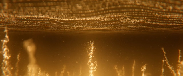 Video Reference: light, water, atmosphere, sunlight, night, macro photography, sky, darkness, evening, stock photography