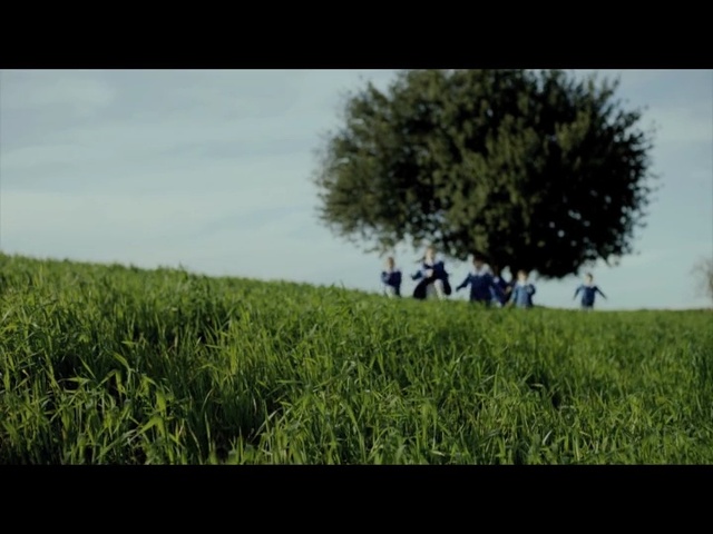 Video Reference: green, nature, sky, grass, field, grassland, ecosystem, tree, crop, plant