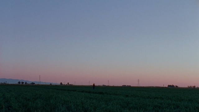 Video Reference: sky, field, horizon, plain, grassland, prairie, dawn, morning, rural area, atmosphere