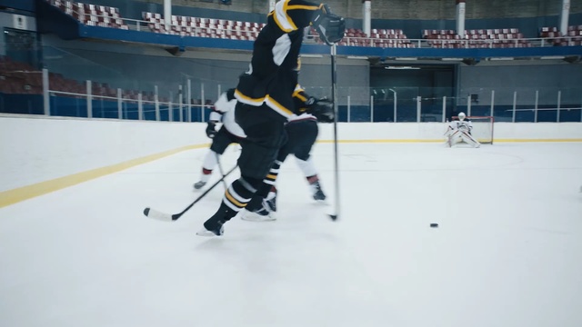 Video Reference: hockey, ice hockey position, bandy, ice hockey, sport venue, college ice hockey, ice rink, team sport, defenseman, player