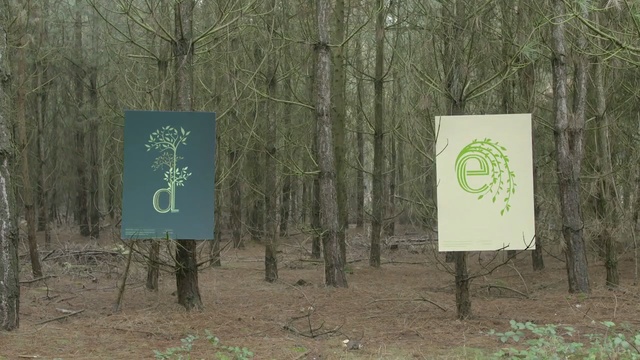 Video Reference: nature reserve, tree, forest, woodland, biome, grass, state park, sign, plant, signage, Person