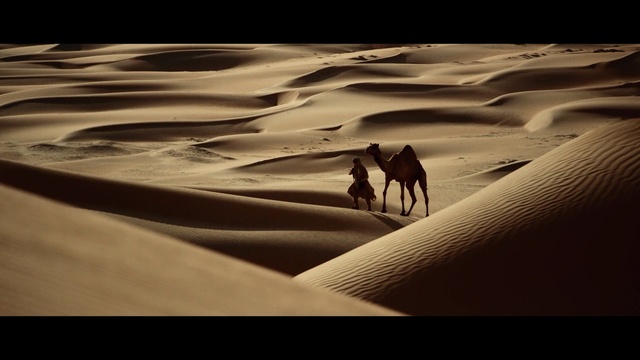 Video Reference: Desert, Sand, Natural environment, Erg, Aeolian landform, Sahara, Singing sand, Dune, Landscape, Sky, Person