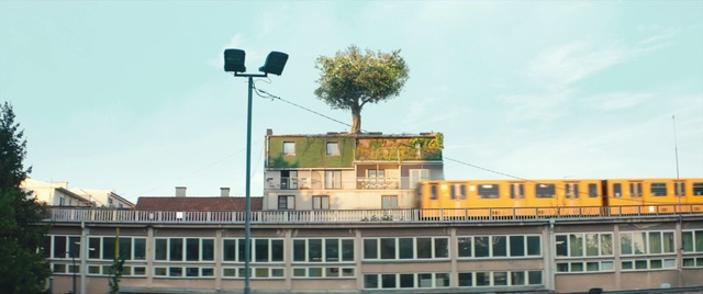Video Reference: Sky, Cloud, Building, Plant, Street light, Window, Tree, Passenger ship, Facade, City