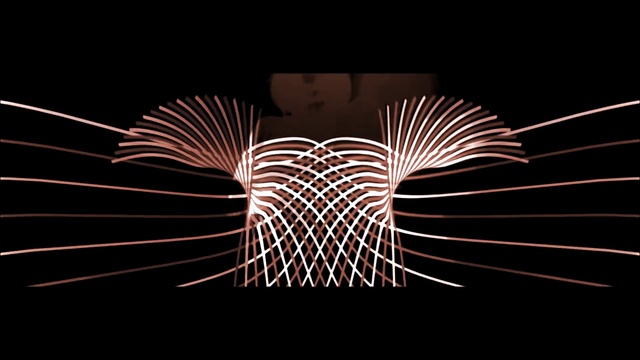 Video Reference: line, symmetry, darkness, wing, computer wallpaper, graphics, organism, font, black and white, pattern