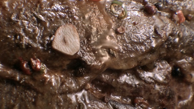Video Reference: rock, soil, water, mineral