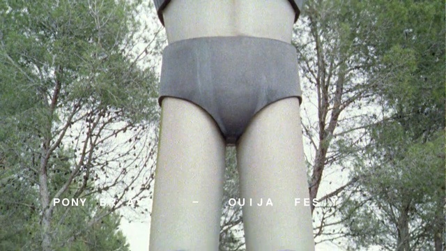 Video Reference: tree, girl, grass, joint