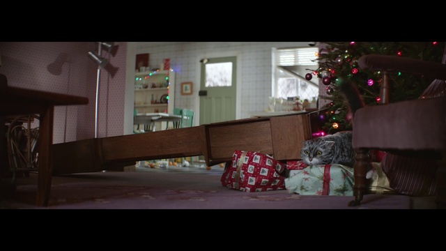 Video Reference: Photograph, Light, Home, Living room, House, Snapshot, Room, Lighting, Tree, Interior design