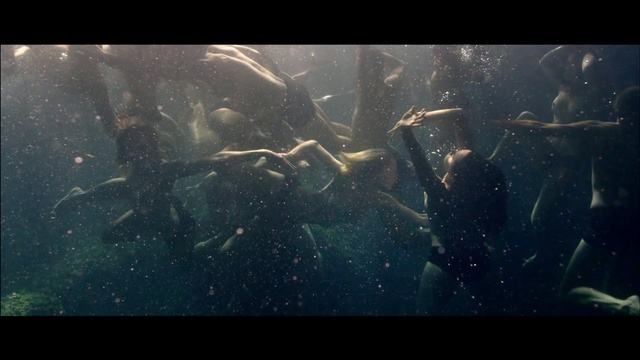 Video Reference: water, underwater, atmosphere, screenshot, organism, marine biology, darkness, sunlight, computer wallpaper, earth