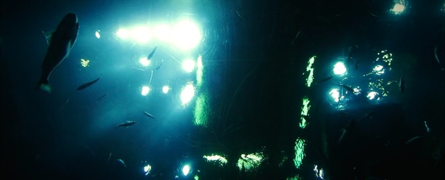 Video Reference: light, underwater, darkness, organism, marine biology, event, computer wallpaper, concert