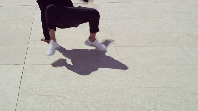 Video Reference: Floor, Shadow, Leg, Flooring, Tail, Tile, Sitting, Shoe, Canidae