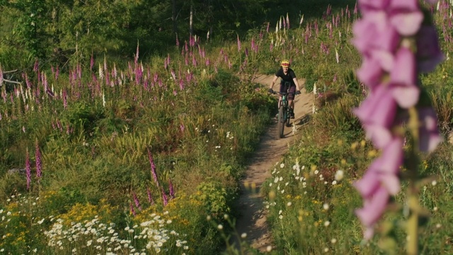 Video Reference: Trail, Flower, Plant, Wildflower, Botany, Spring, Meadow, Grass, Plant community, Shrub