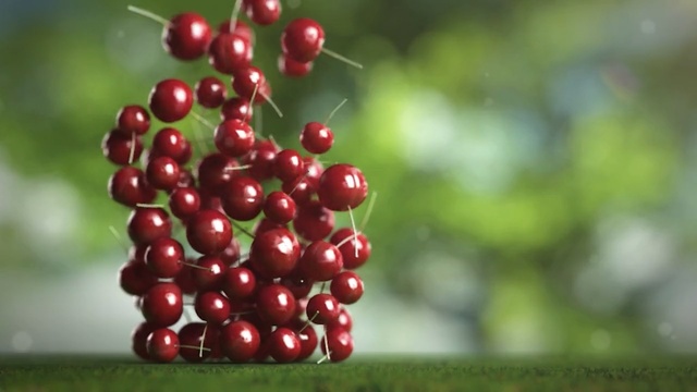 Video Reference: berry, fruit, cherry, lingonberry, pink peppercorn, plant, schisandra, currant, natural foods, cranberry