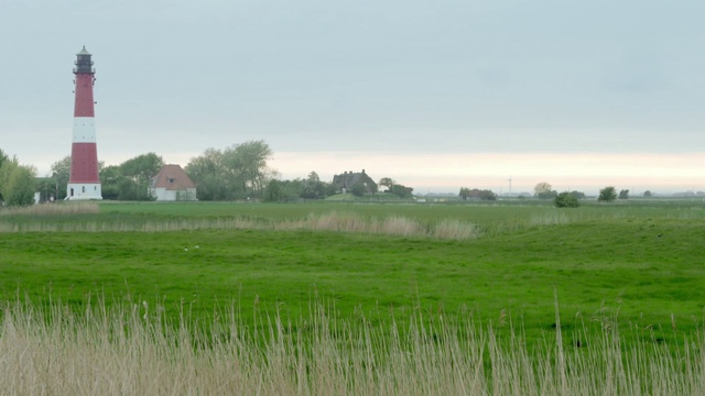 Video Reference: Grassland, Natural environment, Prairie, Field, Land lot, Natural landscape, Plain, Atmospheric phenomenon, Grass family, Grass