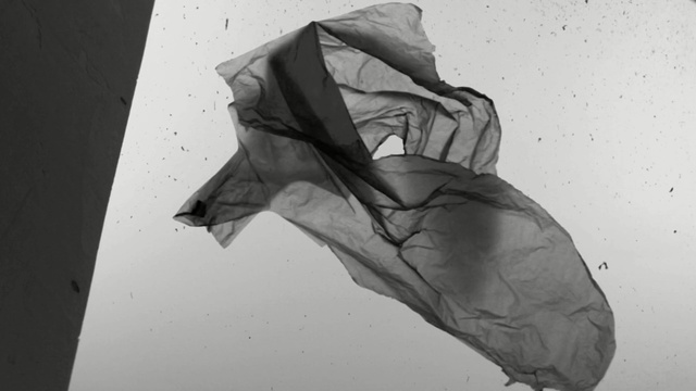 Video Reference: White, Black-and-white, Drawing, Monochrome photography, Sketch, Arm, Illustration, Leaf, Monochrome, Joint