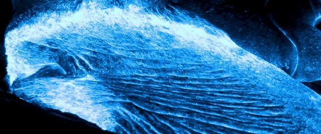 Video Reference: blue, water, organism, geological phenomenon, electric blue, ice, earth, computer wallpaper, marine biology, formation