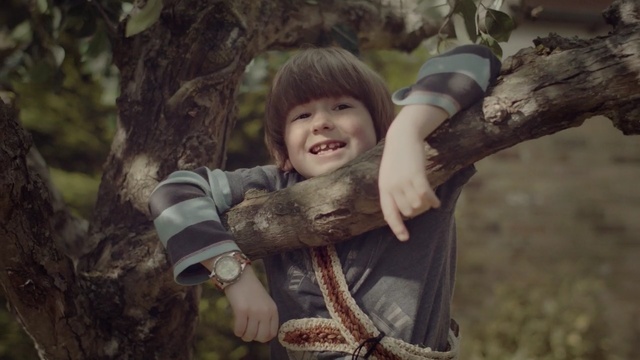 Video Reference: People in nature, Tree, Child, Smile, Photography, Adaptation, Portrait, Plant, Trunk, Person