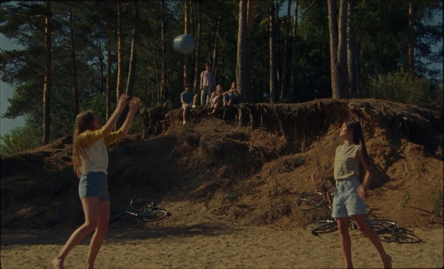 Video Reference: Tree, Fun, Woodland, Forest, Soil, Photography, Recreation, Jungle, Person