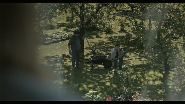 Video Reference: Nature, Tree, Natural environment, Forest, Woodland, Water, Sunlight, Organism, Reflection, Adaptation