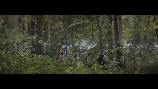 Video Reference: forest, woodland, nature, ecosystem, wilderness, old growth forest, vegetation, green, tree, flora