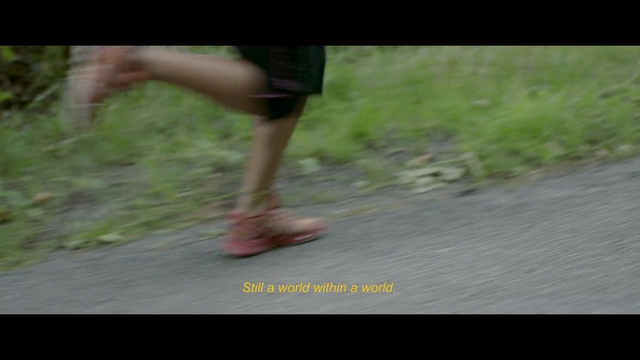 Video Reference: Human leg, Leg, Grass, Footwear, Recreation, Barefoot, Foot, Hand, Shoe, Finger