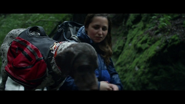 Video Reference: screenshot, tree, adventure, darkness, grass, jungle, girl, midnight, Person