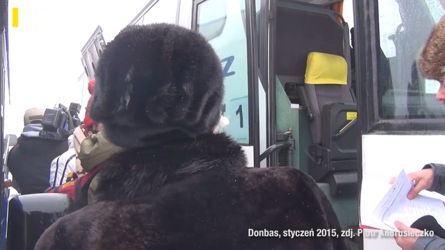 Video Reference: Vehicle, Canidae, Car