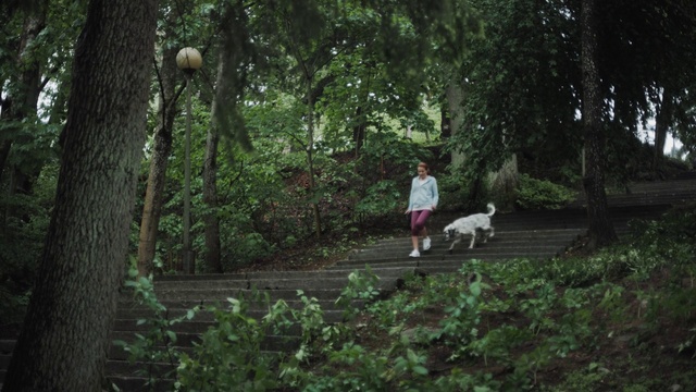 Video Reference: Nature, Natural environment, Green, Forest, Tree, Jungle, Nature reserve, Woodland, Grass, Rainforest