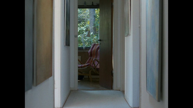 Video Reference: Room, Property, Window, House, Interior design, Window treatment, Curtain, Door, Building, Daylighting