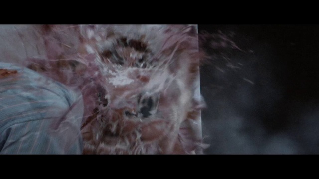 Video Reference: Darkness, Organism, Fur, Fictional character, Sporting Group, Flesh, Art, Space, Ear