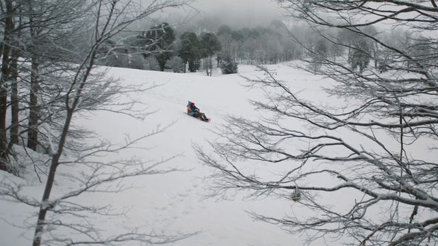 Video Reference: Snow, Winter, Atmospheric phenomenon, Tree, Freezing, Geological phenomenon, Blizzard, Branch, Sky, Winter storm