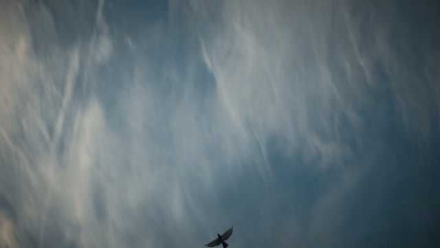 Video Reference: Sky, Atmosphere, Daytime, Nature, Blue, Cloud, Atmospheric phenomenon, Wing, Morning, Sunlight, Person