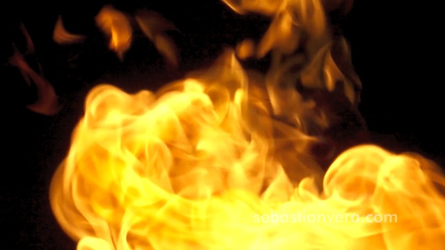 Video Reference: Flame, Fire, Heat, Yellow, Nature, Building, Sitting, Table, Fireplace, Cup, Food, Dog, Small, Hot, Plate, Burn, Bonfire
